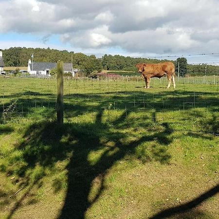 Cosy 2 Bedroom Croft Cottage With Beautiful Views North Kessock Экстерьер фото