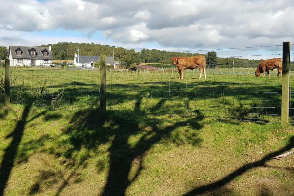 Cosy 2 Bedroom Croft Cottage With Beautiful Views North Kessock Экстерьер фото